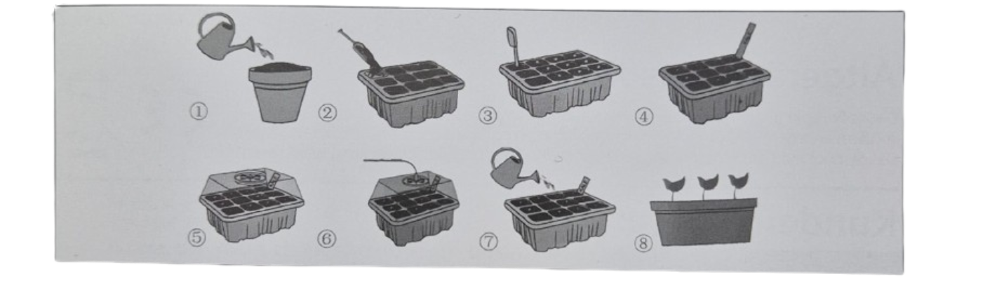 Mini Gewächshaus, 5er-Set