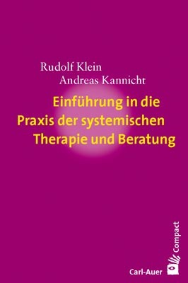 Einführung in die Praxis der systemischen Therapie und Beratung (Rudolf Klein)