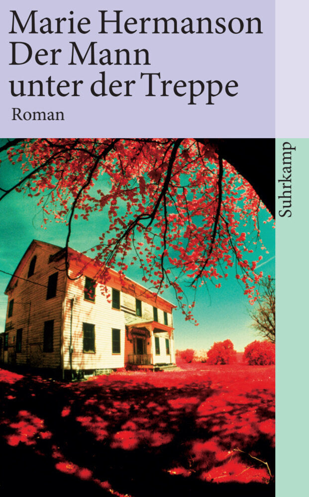 Der Mann unter der Treppe (Marie Hermanson)