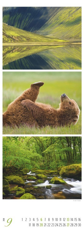 Triplets Kalender 2026 "Colours of Nature" ( 25 × 69 cm)