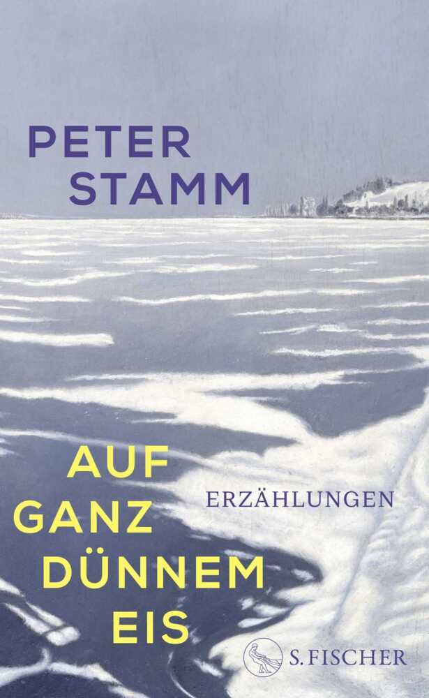 Auf ganz dünnem Eis (Peter Stamm)