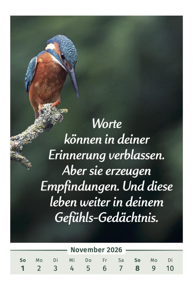 Der Lebensfreude-Kalender 2026