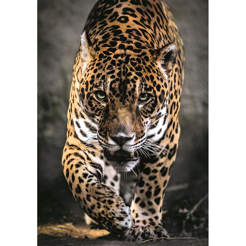 Clementoni Puzzle - Tierischer Spaziergang des Jaguars (1000 Teile)