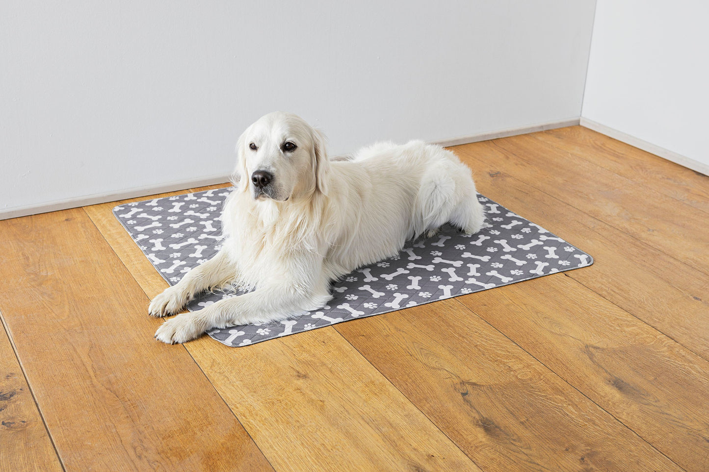 Hundedecke saugfähig