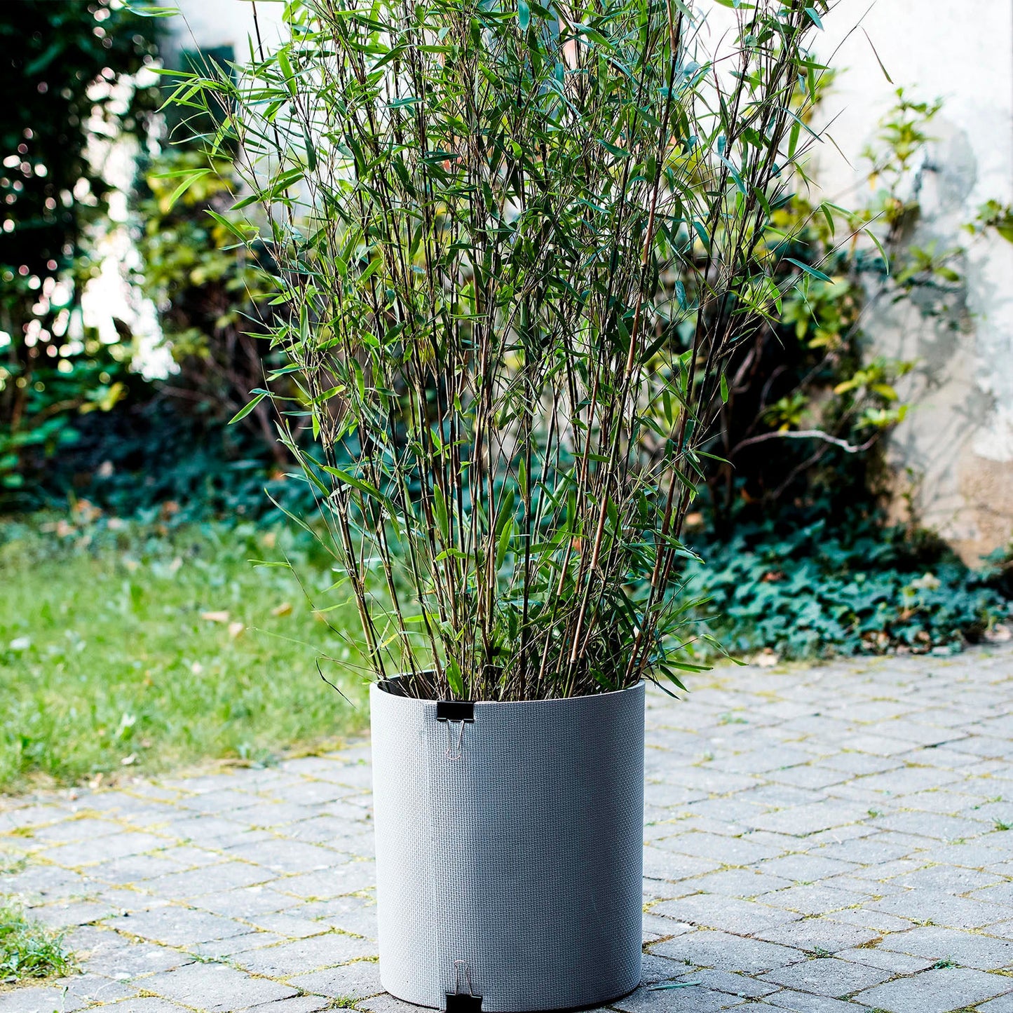 Winter-Kälteschutzmatte