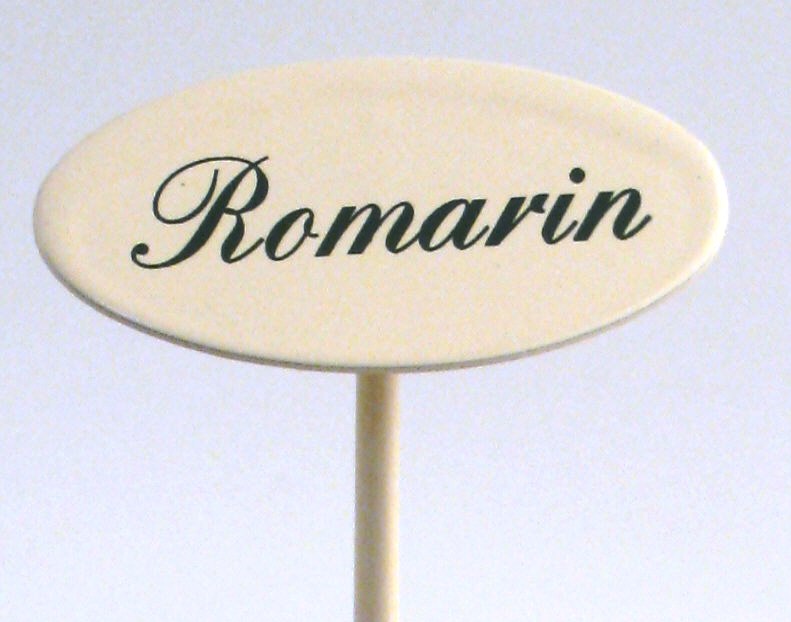 Gewürzstecker Romarin