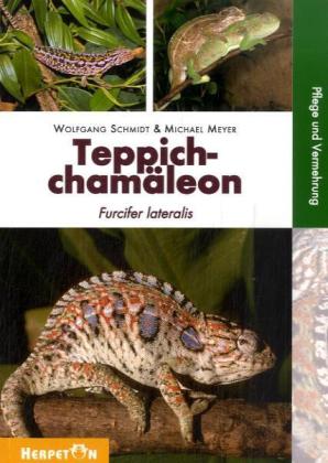 Teppichchamäleon (Wolfgang Schmidt)