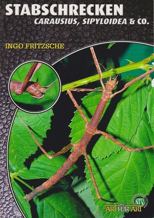 Stabschrecken (Ingo Fritzsche)