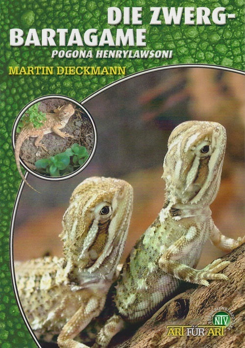 Die Zwergbartagame (Martin Dieckmann)
