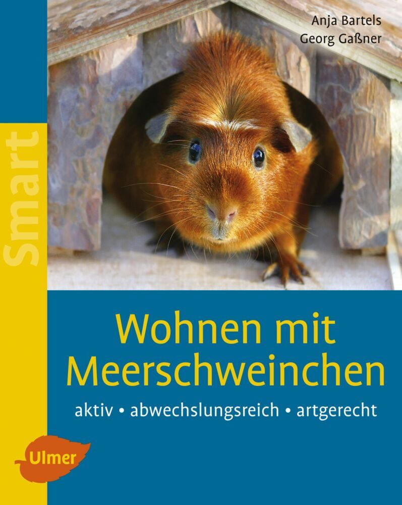 Wohnen mit Meerschweinchen (Anja Bartels)