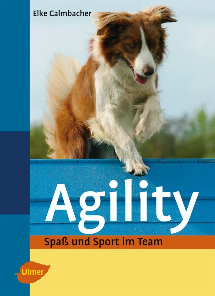 Agility (Elke Calmbacher)