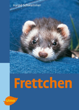 Frettchen (Harald Schwammer)