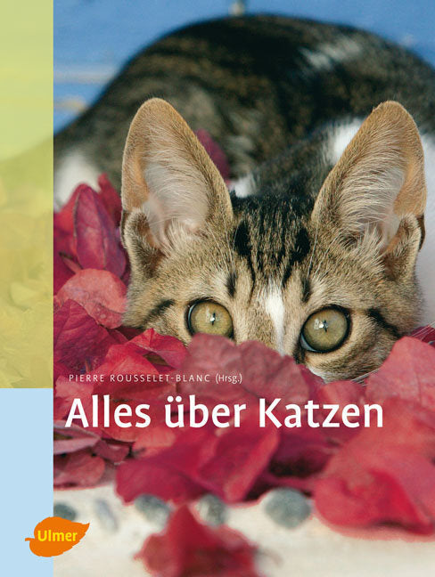 Alles über Katzen (Pierre Rousselet-Blanc)