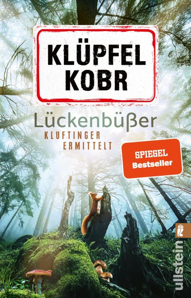 Lückenbüßer (Volker Klüpfel)