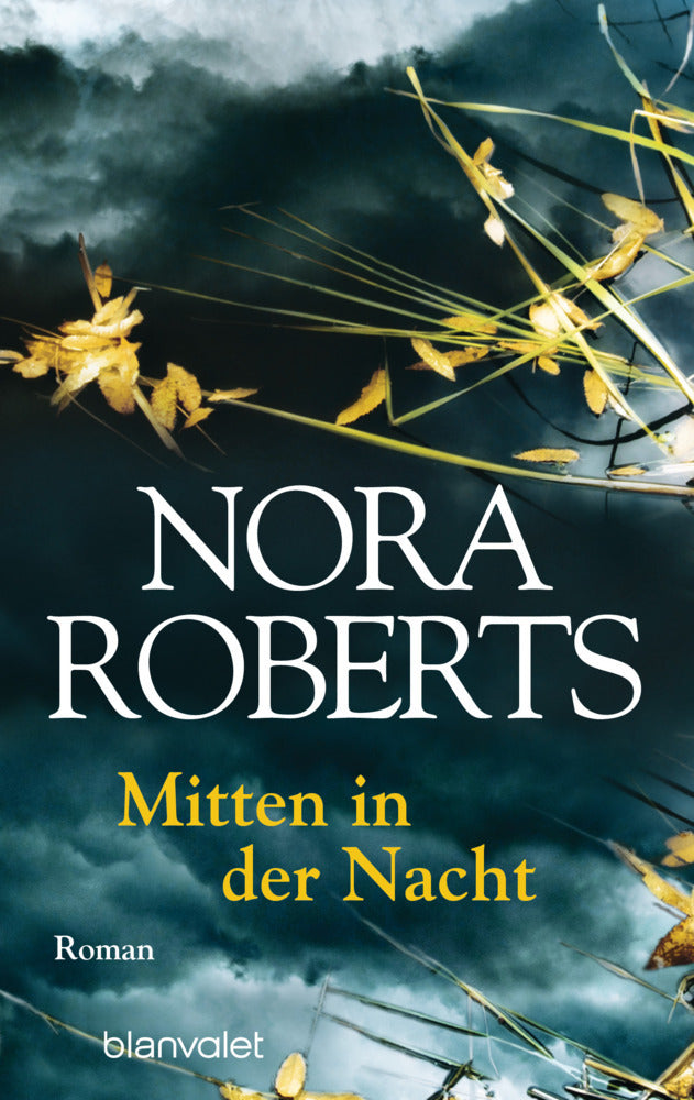 Mitten in der Nacht (Nora Roberts)