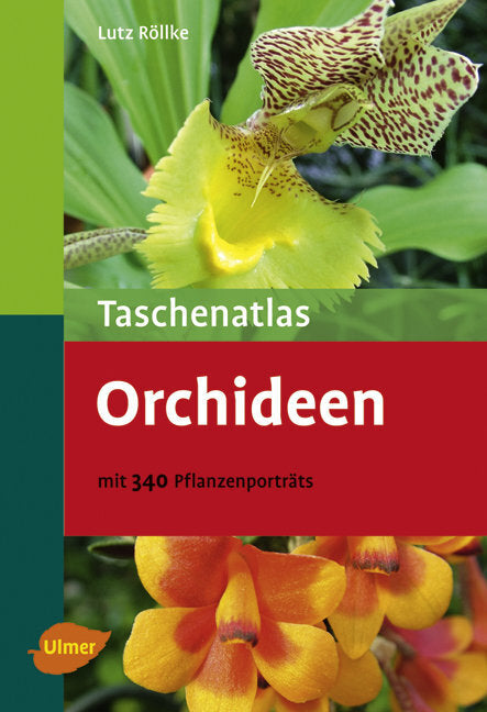 Taschenatlas Orchideen (Lutz Röllke)