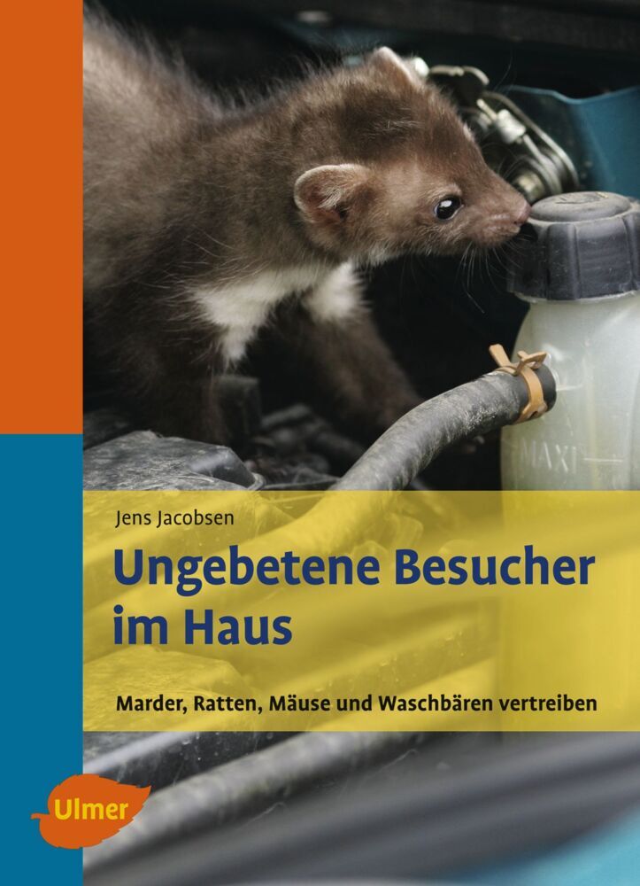 Ungebetene Besucher im Haus (Jens Jacobsen)