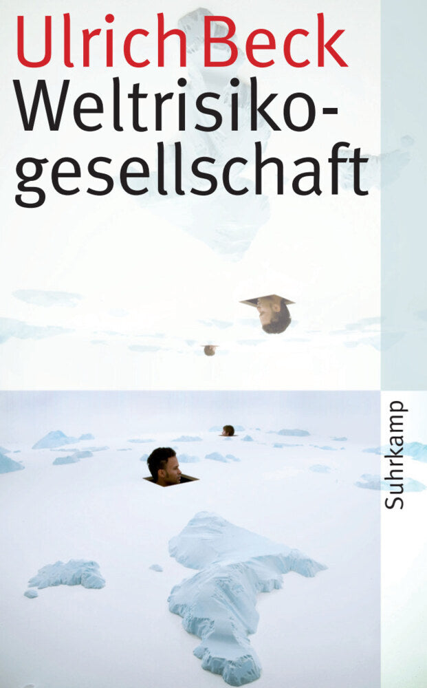 Weltrisikogesellschaft (Ulrich Beck)