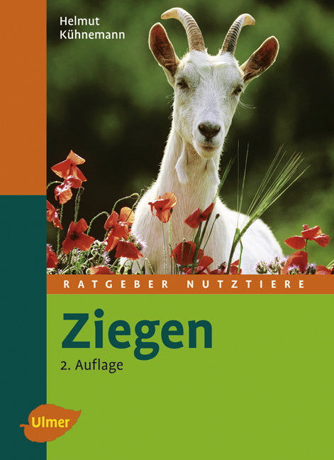 Ziegen (Helmut Kühnemann)