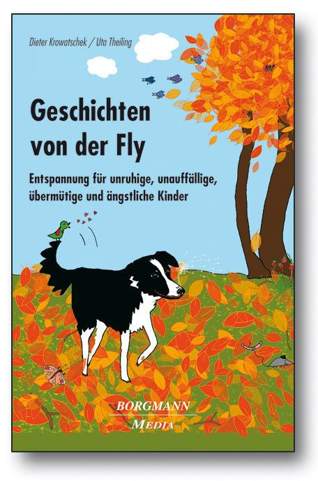 Geschichten von der Fly, m. Audio-CD (Dieter Krowatschek)