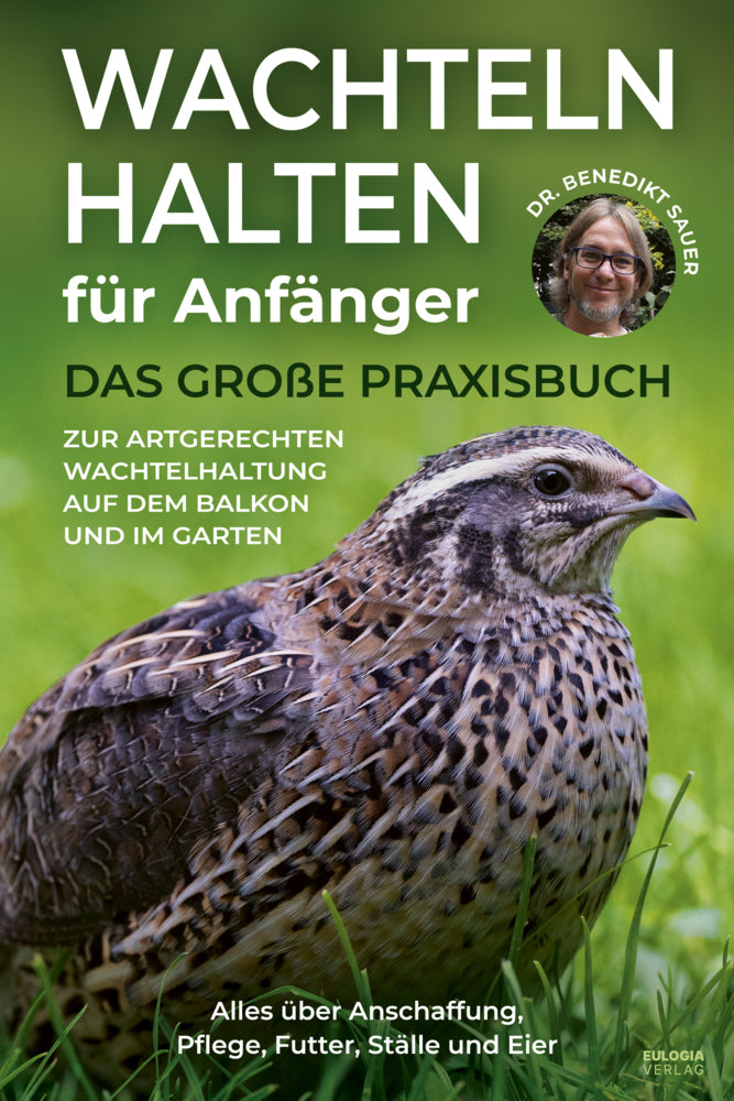 Wachteln halten für Anfänger (Benedikt Dr. Sauer)