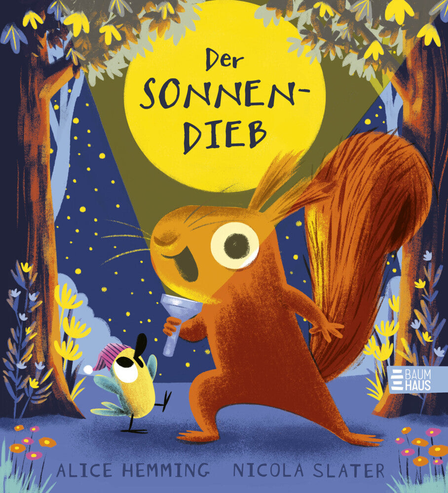 Der Sonnendieb (Alice Hemming)