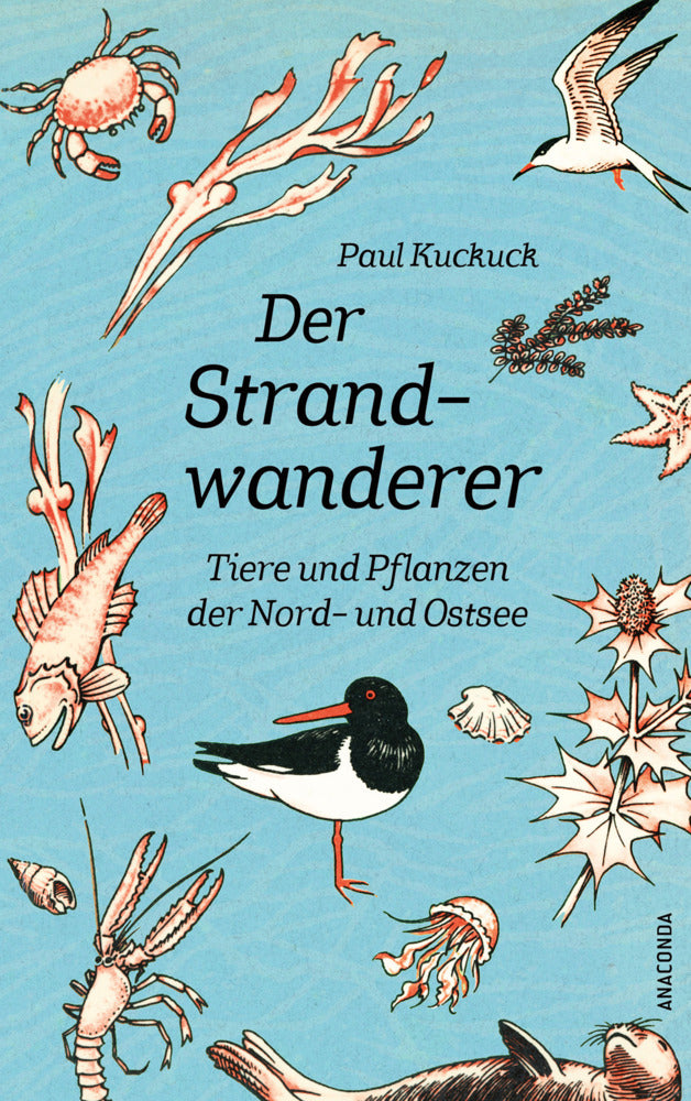 Der Strandwanderer. Tiere und Pflanzen der Nord- und Ostsee (Paul Kuckuck)