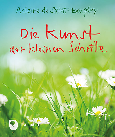Die Kunst der kleinen Schritte (Antoine De Saint-Exupéry)