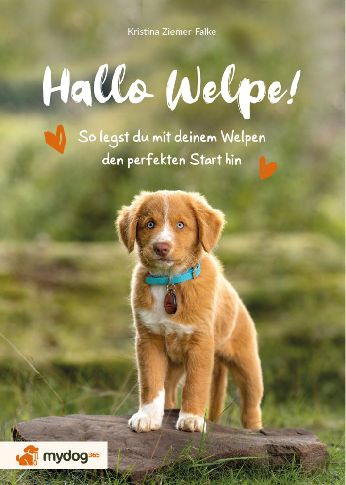 Hallo Welpe! (Kristina Ziemer-Falke)