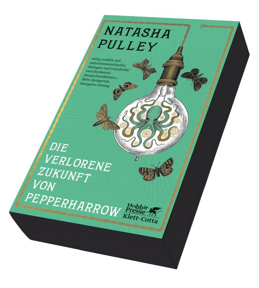 Die verlorene Zukunft von Pepperharrow (Natasha Pulley)