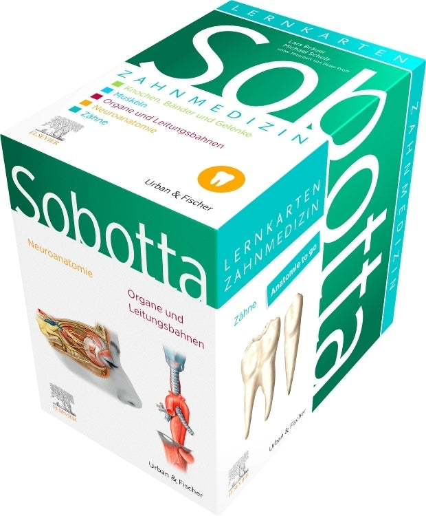 Sobotta Lernkarten Anatomie für die Zahnmedizin (Lars Bräuer)