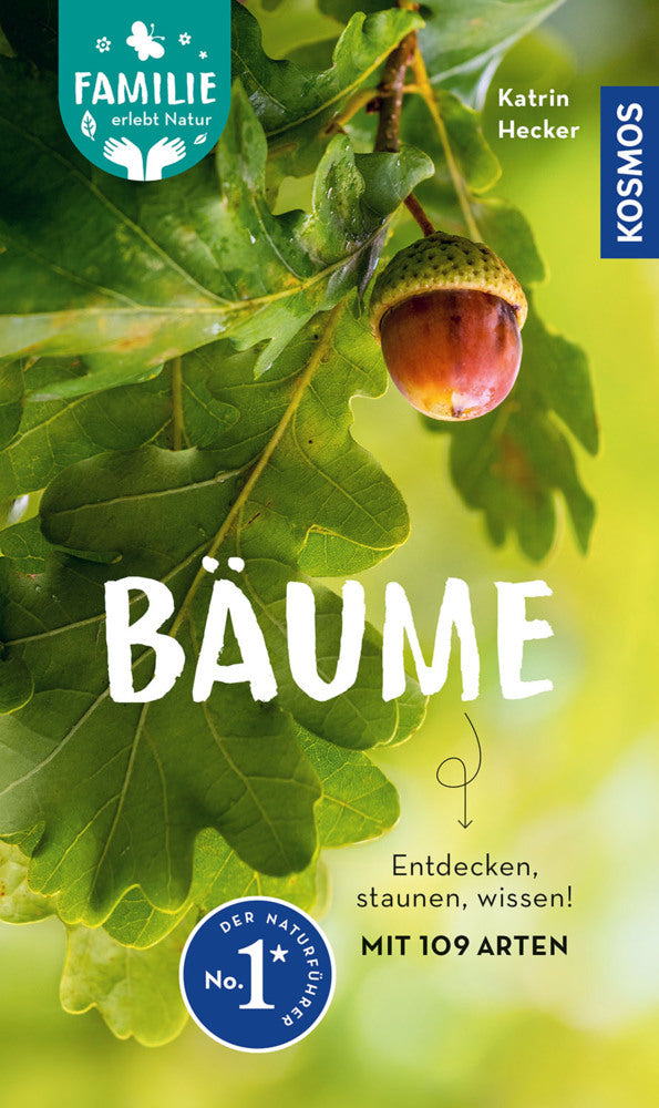 Bäume (Katrin Hecker)
