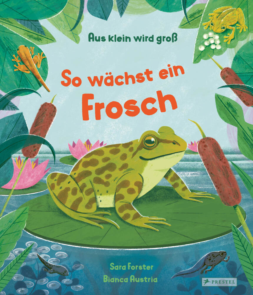 Aus klein wird groß. So wächst ein Frosch (Sara Forster)