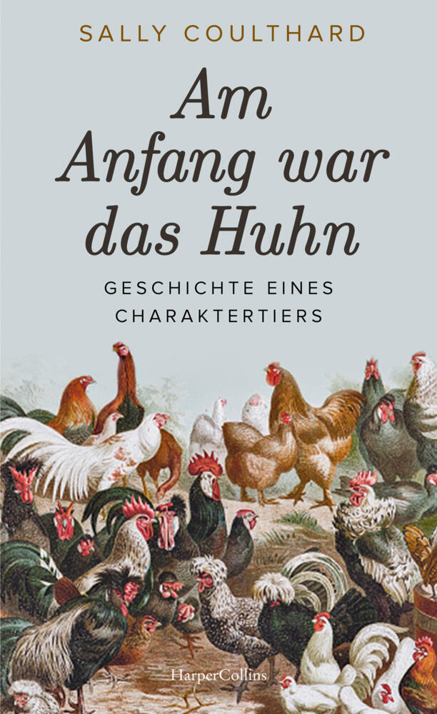 Am Anfang war das Huhn. Geschichte eines Charaktertiers (Sally Coulthard)