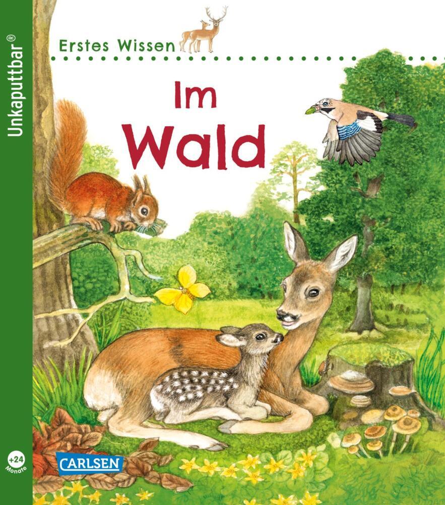 Unkaputtbar: Erstes Wissen: Im Wald (Petra Klose)