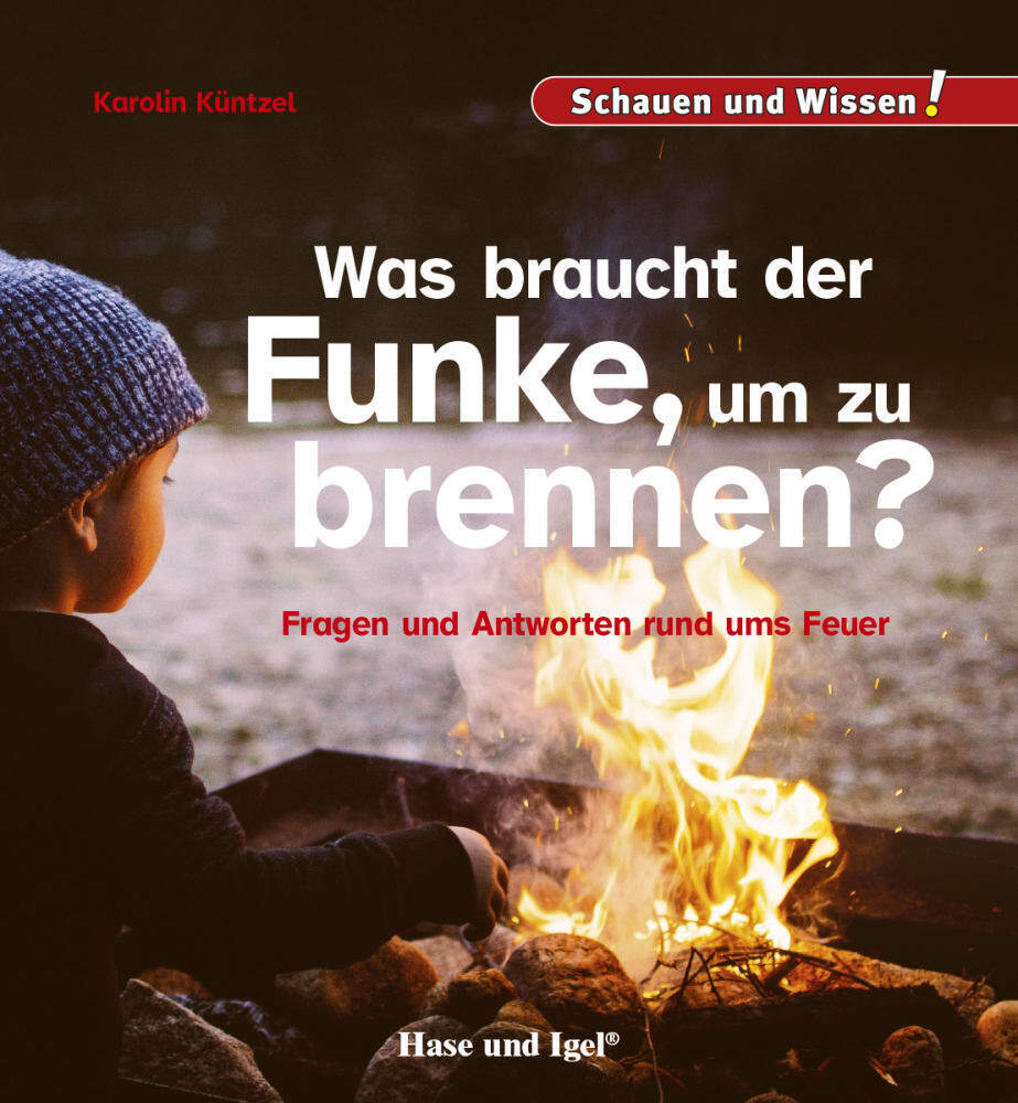 Was braucht der Funke, um zu brennen? (Karolin N. Küntzel)