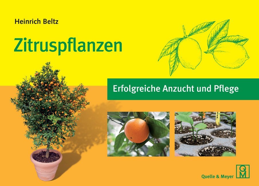 Zitruspflanzen (Heinrich Beltz)