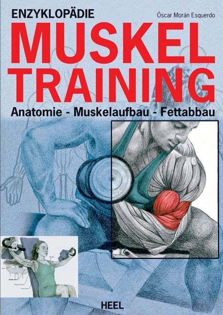 Enzyklopädie Muskeltraining (Oscar Morán Esquerdo)