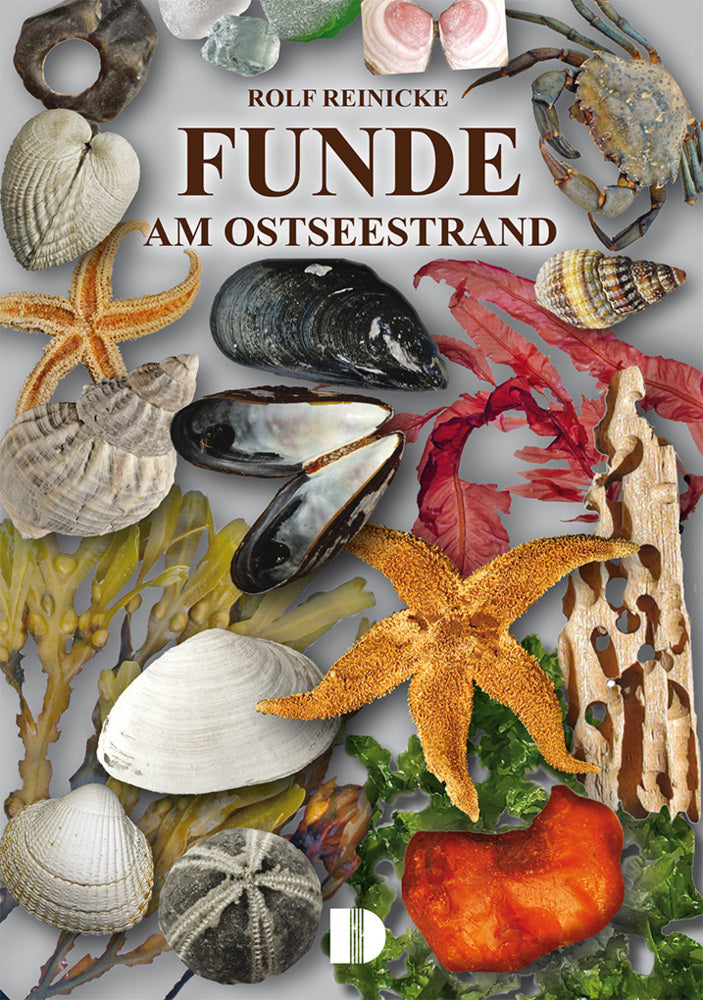 Funde am Ostseestrand (Rolf Reinicke)
