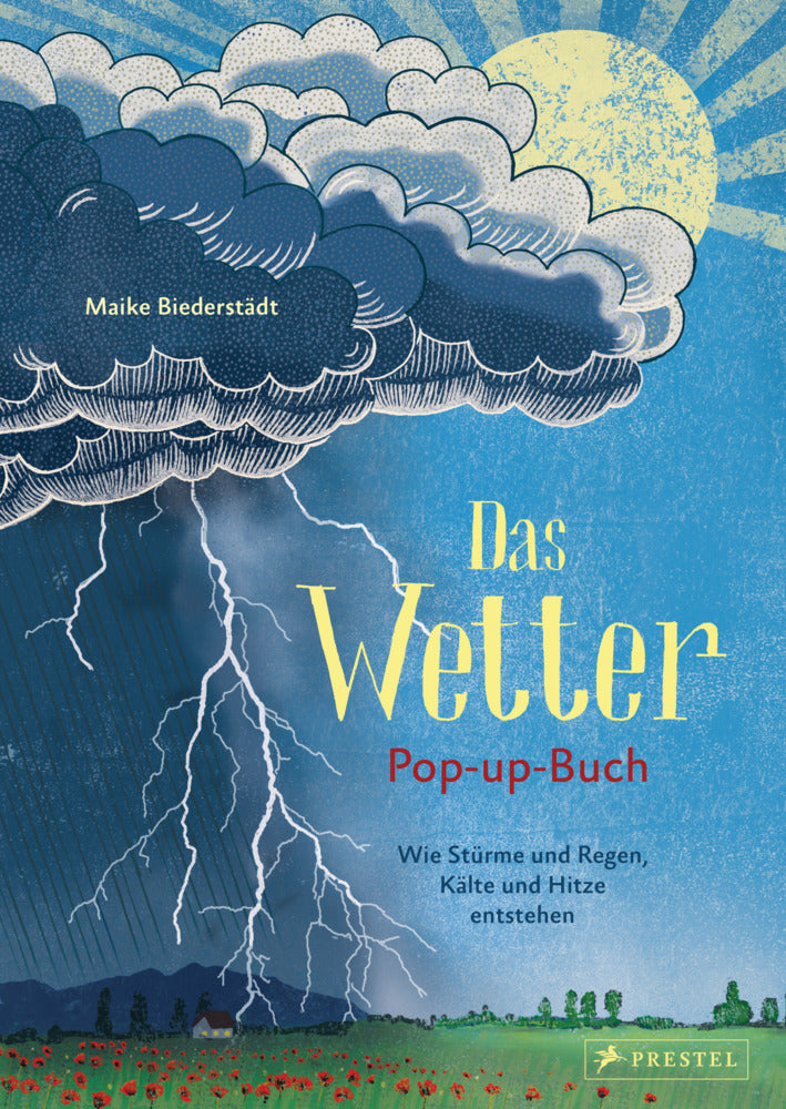 Das Wetter. Pop-up-Buch (Maike Biederstädt)