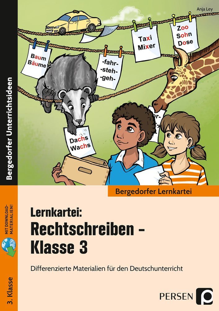 Lernkartei: Rechtschreiben - Klasse 3 (Anja Ley)