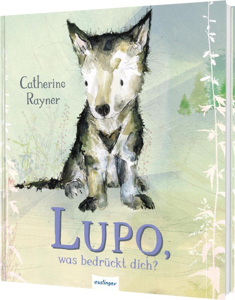Lupo, was bedrückt dich? (Catherine Rayner)