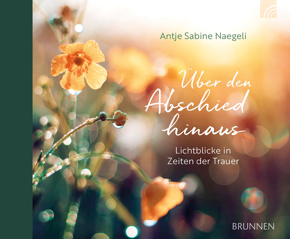 Über den Abschied hinaus (Antje Sabine Naegeli)