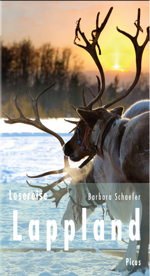 Lesereise Lappland (Barbara Schaefer)