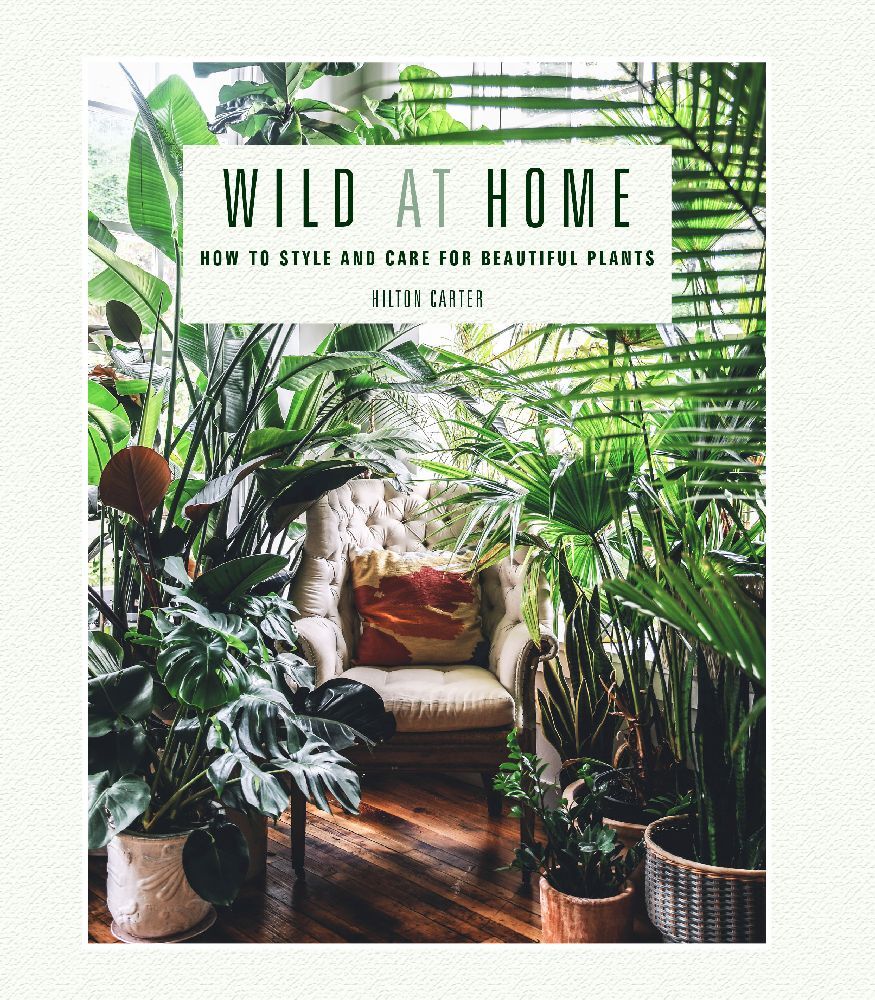Wild at Home (Hilton Carter)