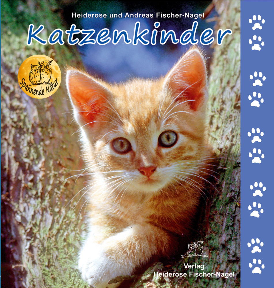 Katzenkinder (Heiderose Fischer-Nagel)