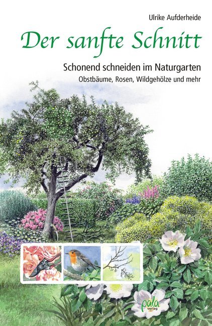 Der sanfte Schnitt (Ulrike Aufderheide)