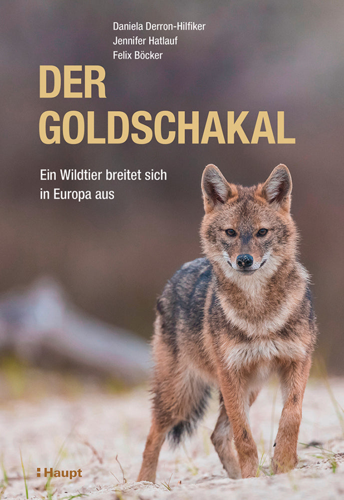 Der Goldschakal (Daniela Derron-Hilfiker)