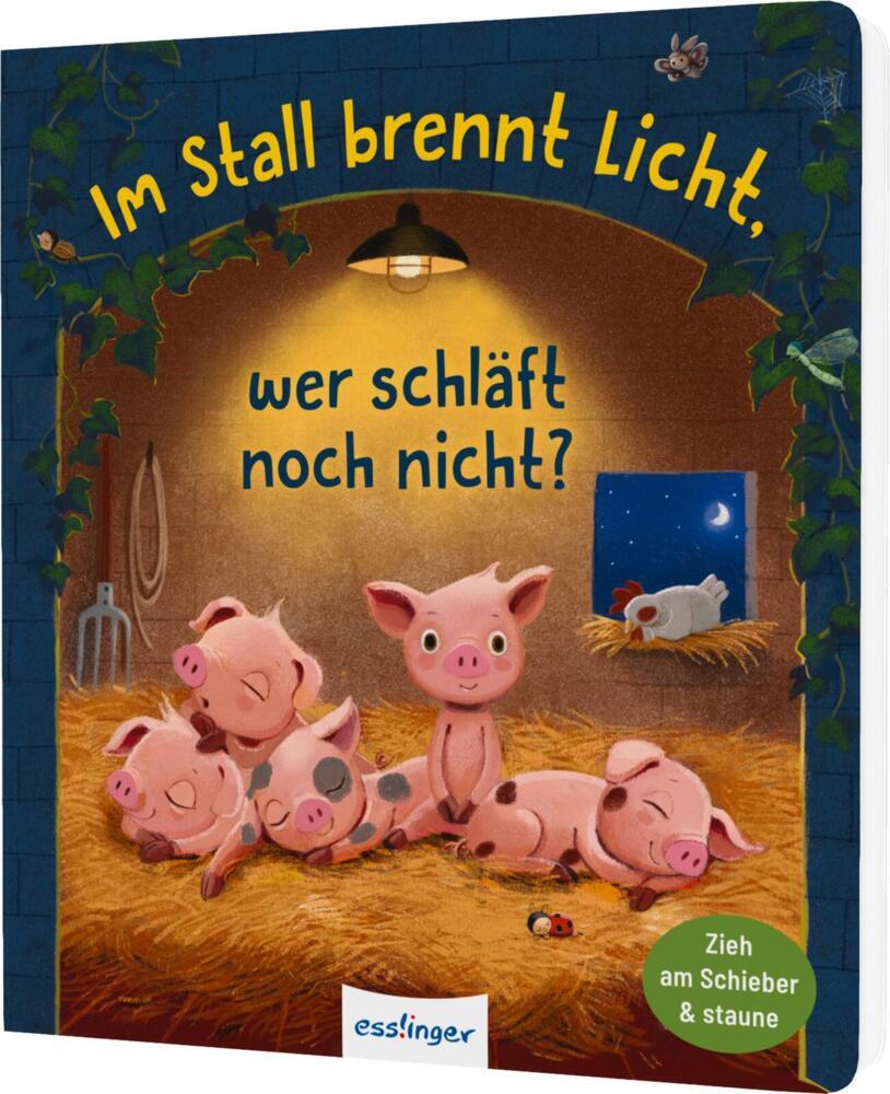 Im Stall brennt Licht, wer schläft noch nicht? (Anja Kiel)
