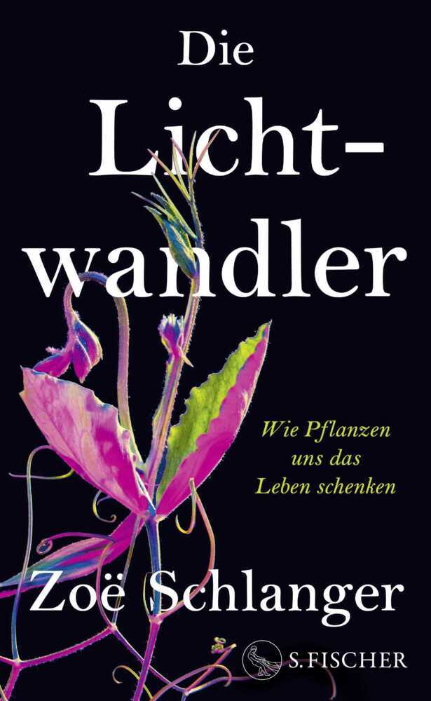 Die Lichtwandler (Zoë Schlanger)